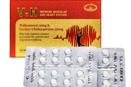 브이엔에이치 VNH (Vascular and Heart)