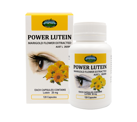 파워 루테인(메리골드 꽃 추출물)  POWER LUTEIN (Marigold Flower Extracted)